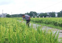 江西上饶：科技特派员扎根乡村摘“幸福果”种“致富苗”